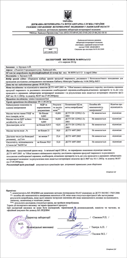 Експертний висновок Експертний висновок